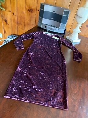 Michael Kors Crushed Velvet Dress in Plum